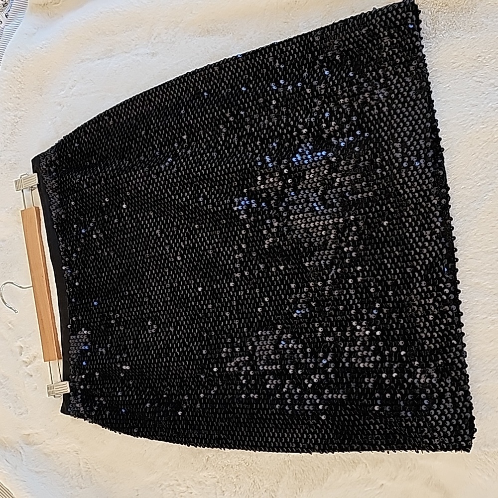 NWT Ann Taylor Sequin Skirt size 8